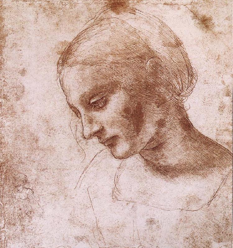 LEONARDO da Vinci Study fur a women head oil painting image